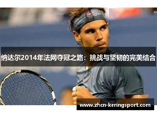 纳达尔2014年法网夺冠之路：挑战与坚韧的完美结合